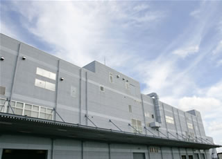 Hamamatsu Plant